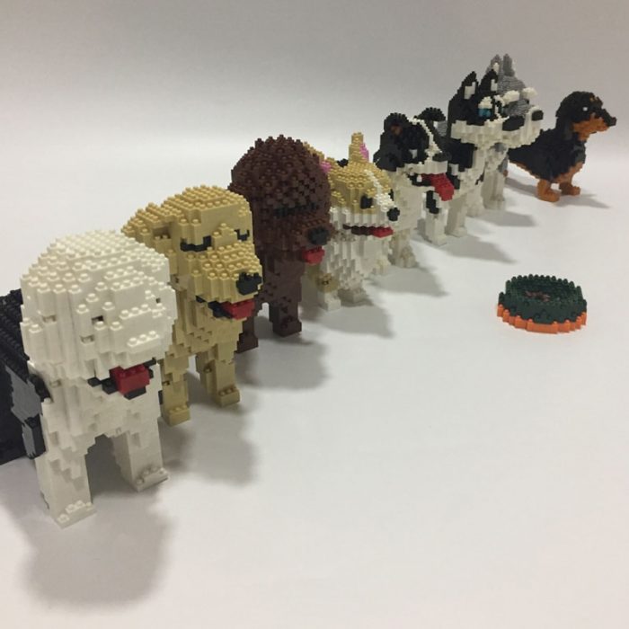 PZX Schnauzer Dachshund Husky Collie Sheepdog Corgi Teddy Dog Pet Animal DIY Mini Diamond Blocks Bricks 3 - LOZ Blocks Store